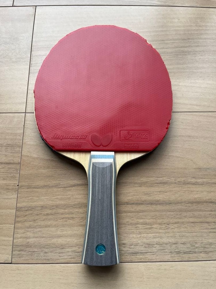 Vizcaglia FL Butterfly Racket