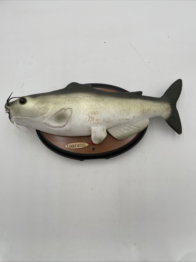 CoolCatfish Automated Wall Hanger Catfish Working