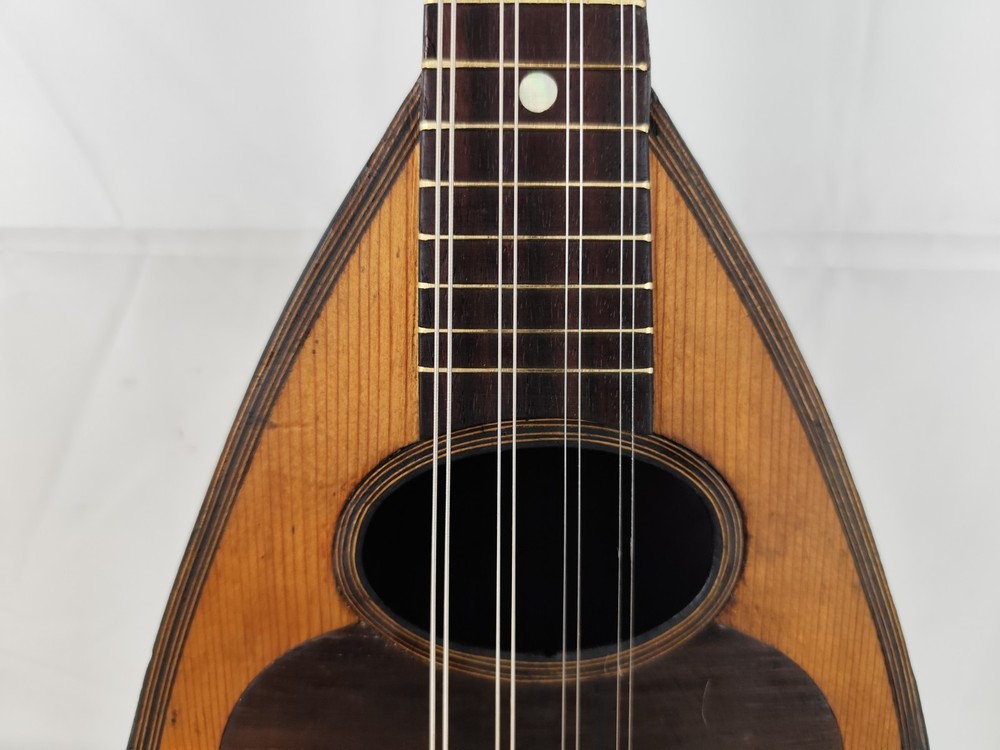 Mandolin 4/4 Viscardo Maccolini 1925 Milan 曼陀林 만돌린マンドリン