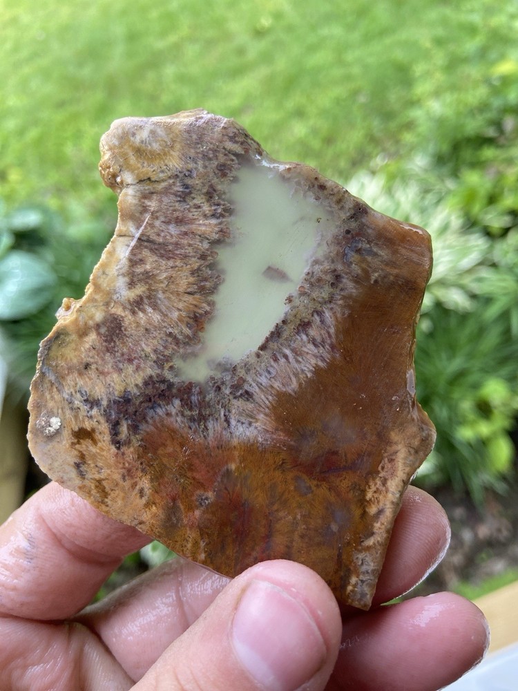 Beautiful Sagenite Slab 46 Grams