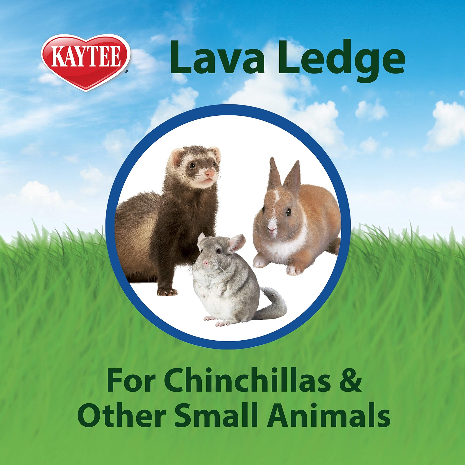Lava Ledge for Small Pet Animal Wire Habitats