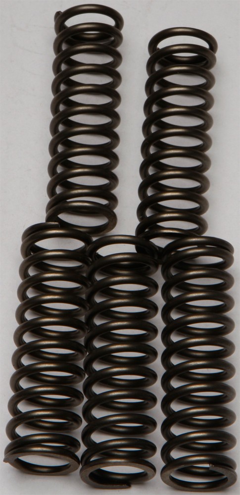 EBC CSK Clutch Spring Kit CSK169