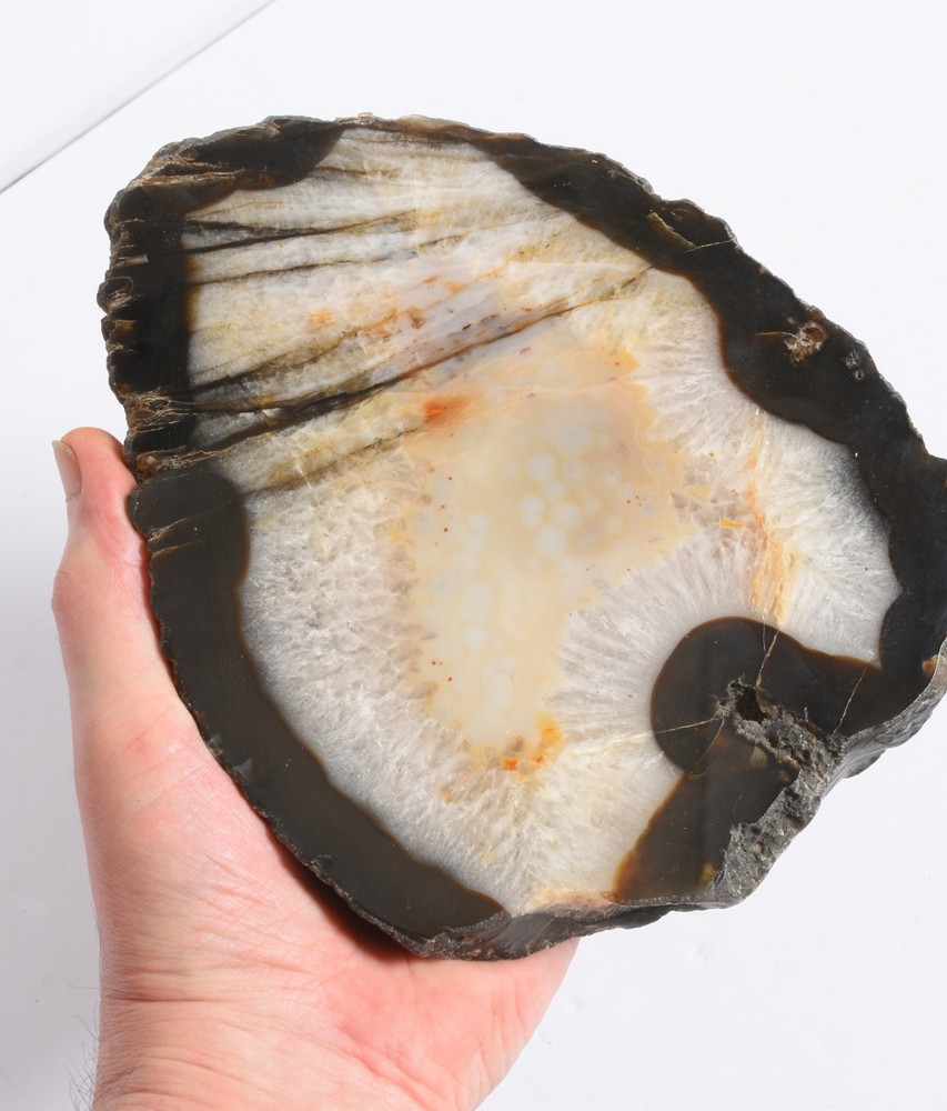 1930g, 4 lb 4oz, Raw cut Agate specimen 7.5" geode slice. Polished, Raw.