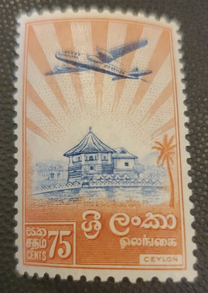 Ceylon 344 MLH