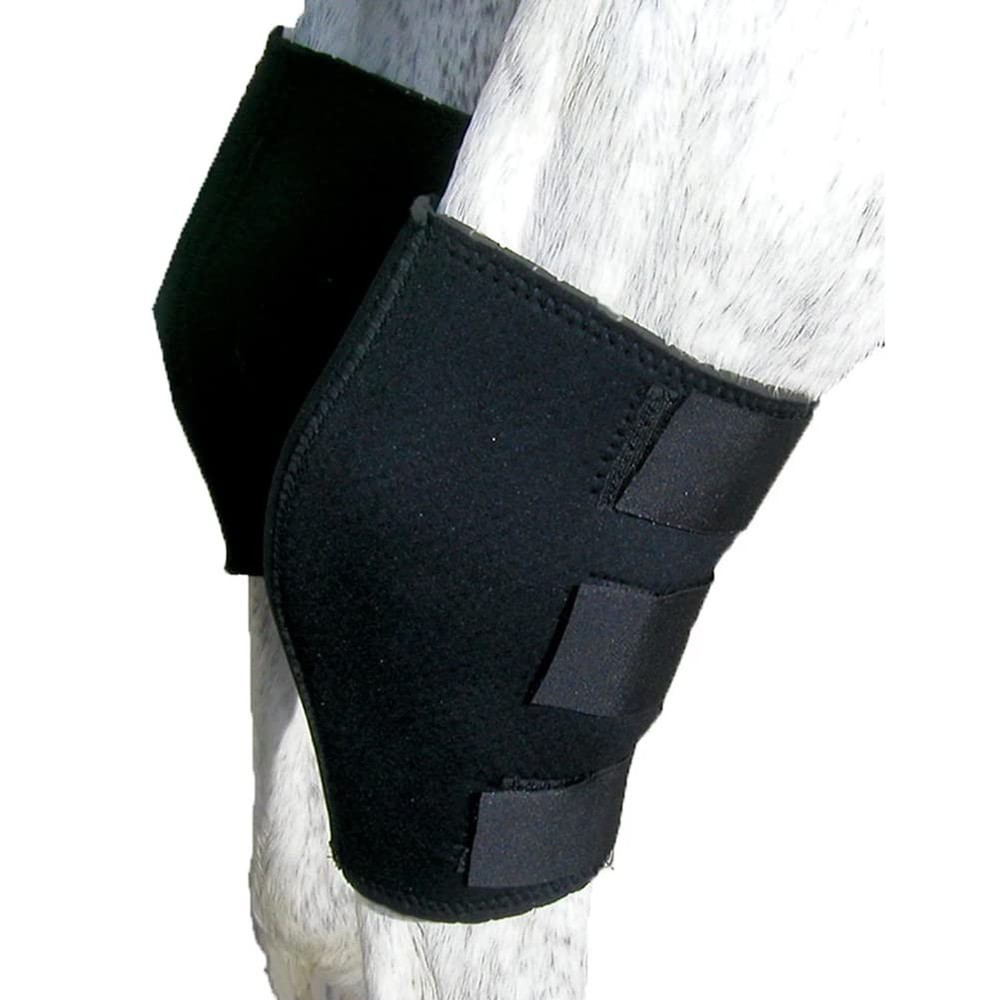 Intrepid International Hock Sweat Boot