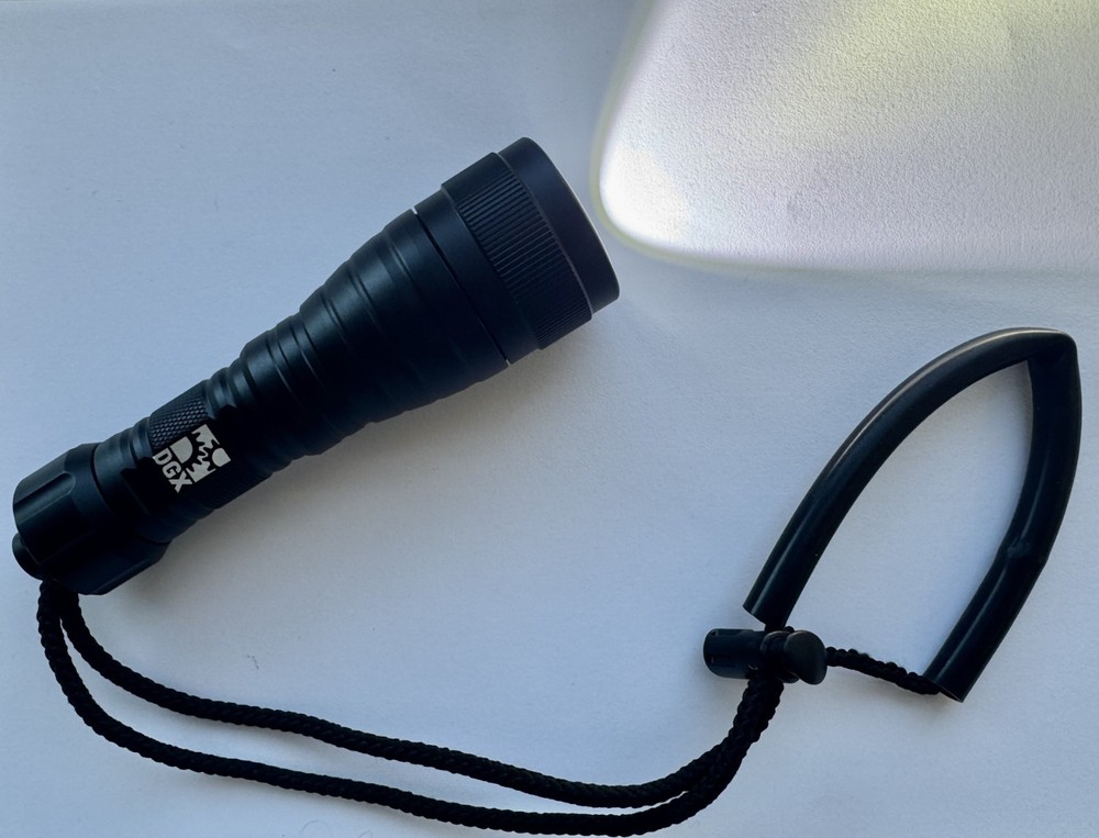 DGX 600 TWIST Handheld Light