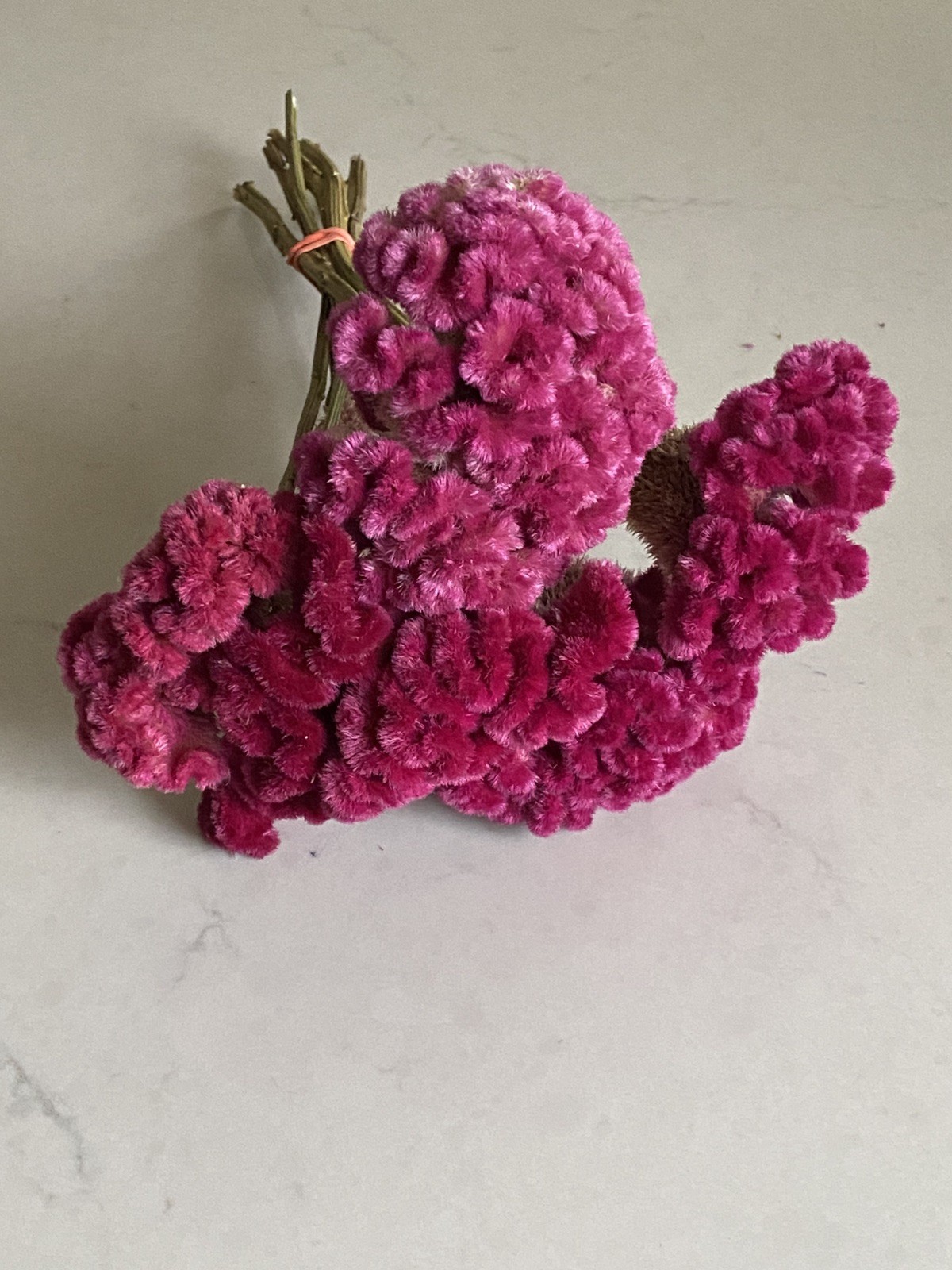 COCKSCOMB Celosia DRIED FLOWERS Bunch BOUQUET Bundle Wedding Assorted PINK HUES