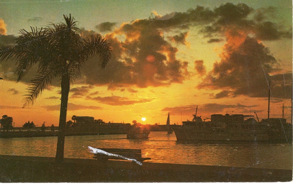 SARASOTA BAY, FLORIDA - PC6199