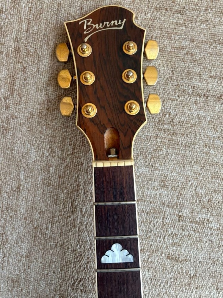 Burny Mg-130S/Cherry Sunburst/Hide Model/Mockingbird