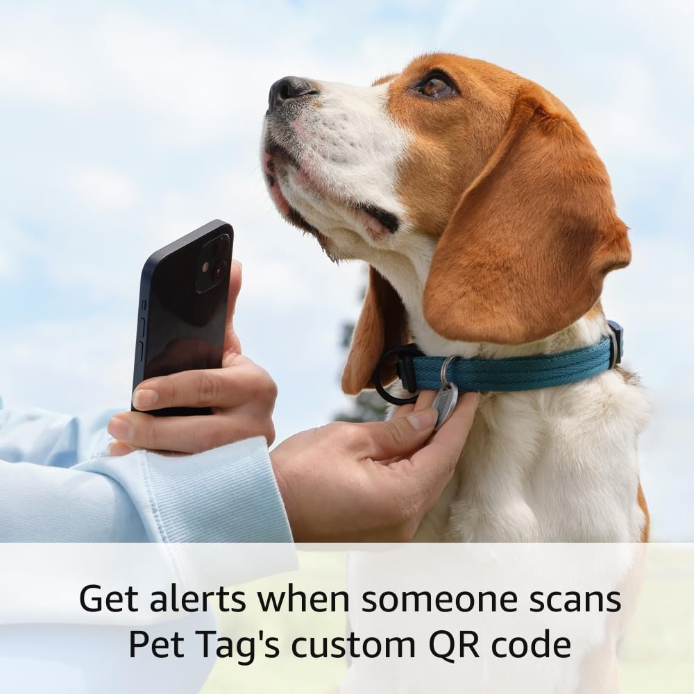Ring Pet Tag | Easy-To-Use Tag with QR Code | Real-Time Scan Alerts | Shareable