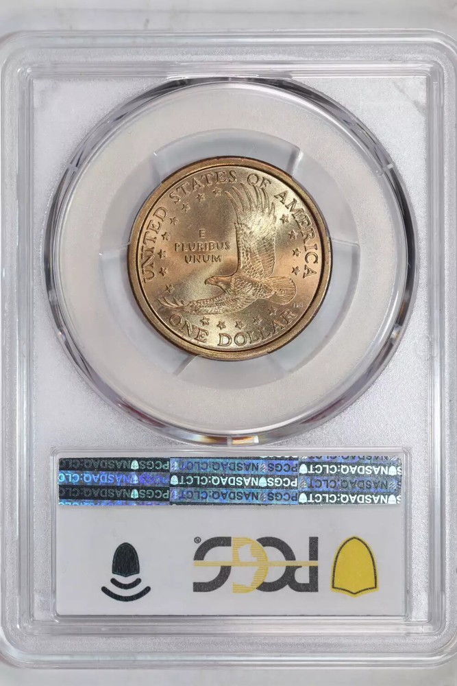 2000-P "WOUNDED EAGLE" SACAGAWEA DOLLAR PCGS MS65