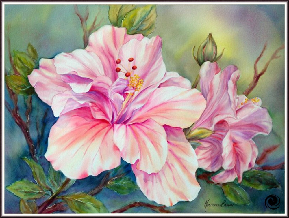 Hibiscus 1355 Chart Counted Cross Stitch Pattern Needlework