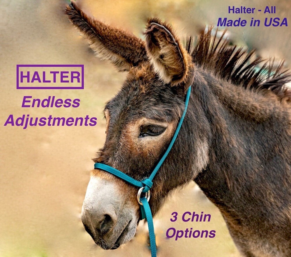 Halter All MEDIUM Donkey / Mule Endless Adjustable Halter & Lead colors USA