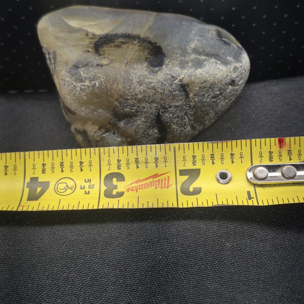 montana agate rough