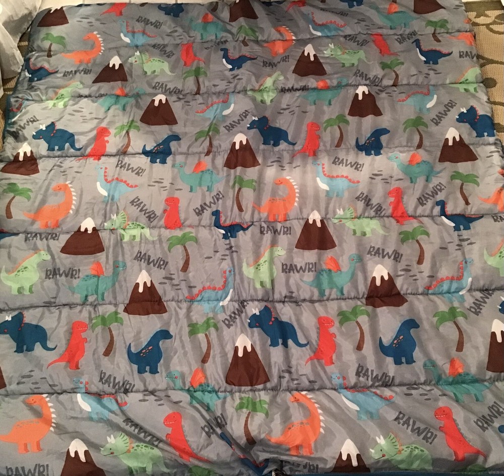 OLIVET Dinosaur Sleeping Bag Reversible Mint Condition