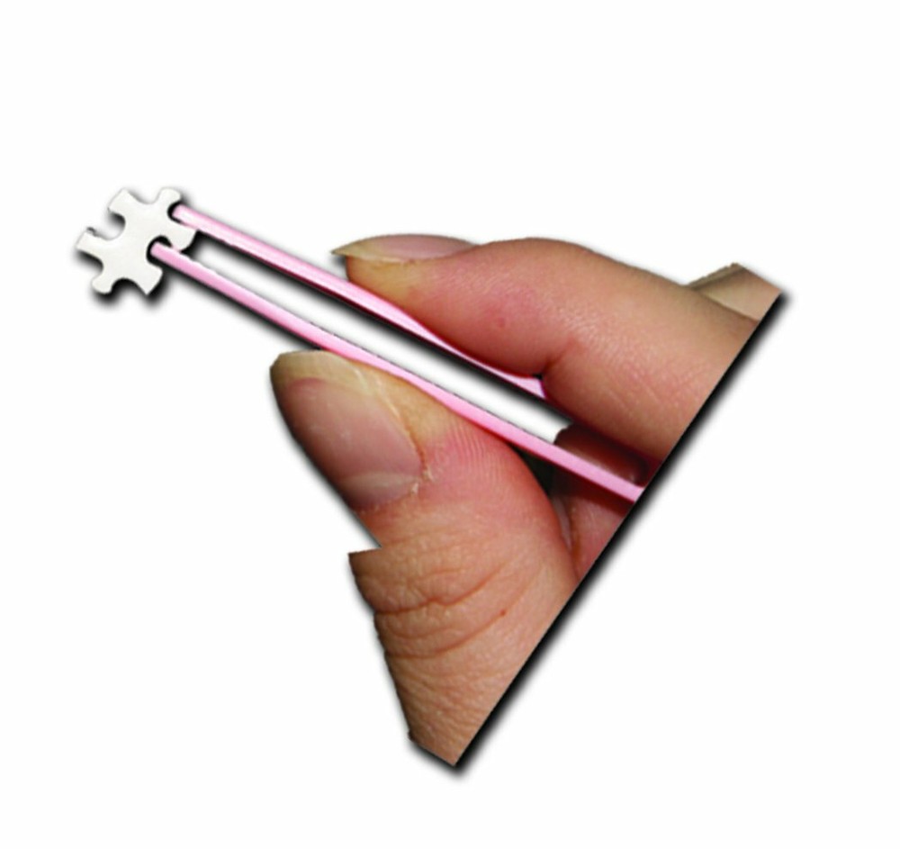 Worlds Smallest puzzle - Life Aquatic