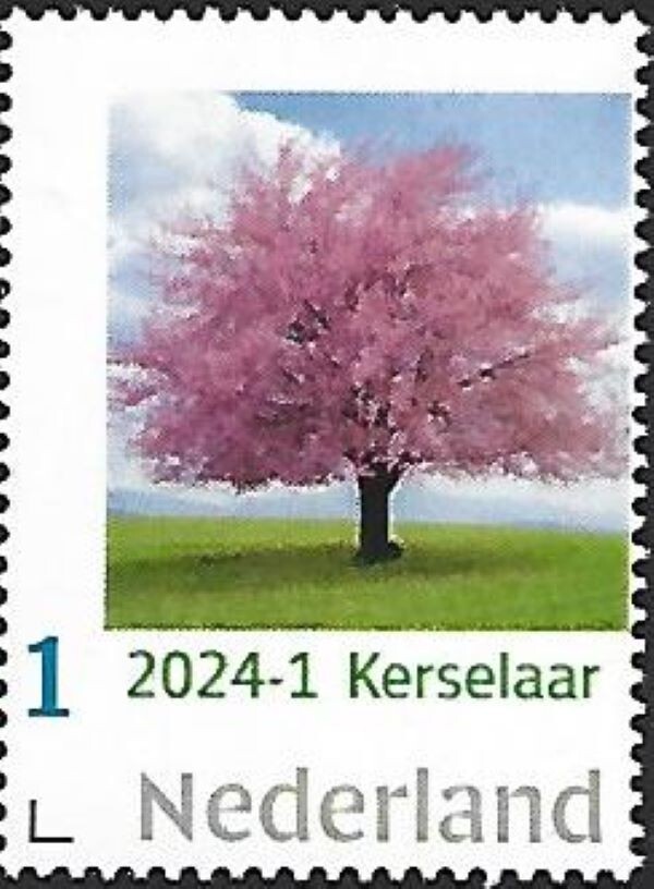 Netherlands  2024  Trees 1  Cherry tree       mnh u