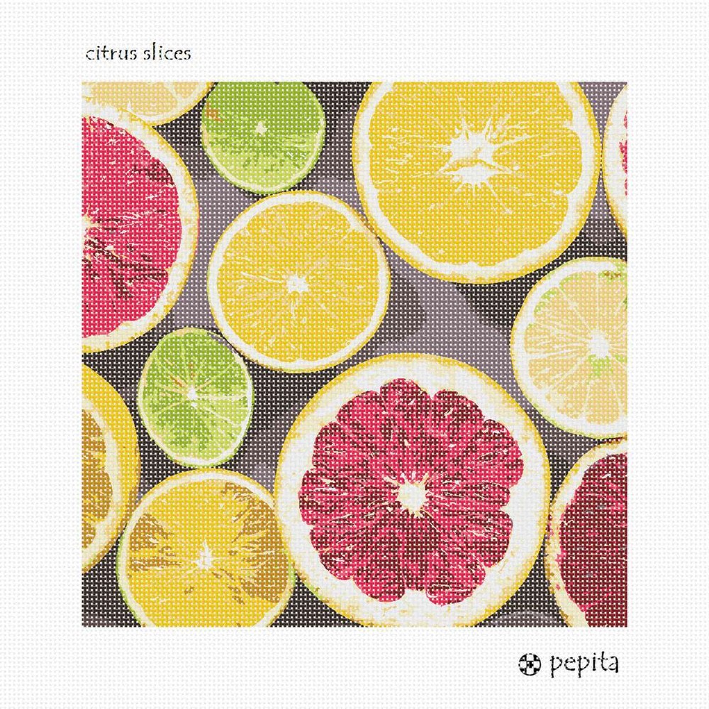 Citrus Slices Needlepoint Kit or Canvas