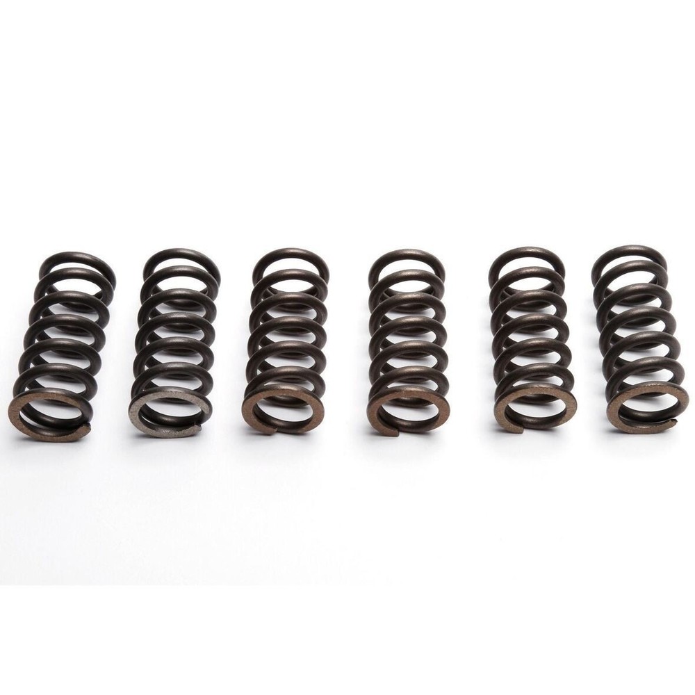 EBC Clutch Spring Set (6 PCS) - CSK120