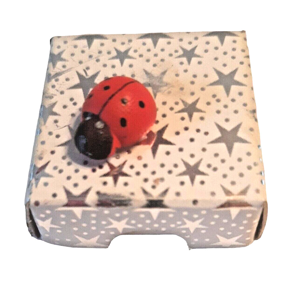 Tiny Ladybug Gift Box Empty 1.25 Inches Square Silver Stars