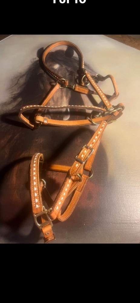 Buckstitched Horse & Foal Halters