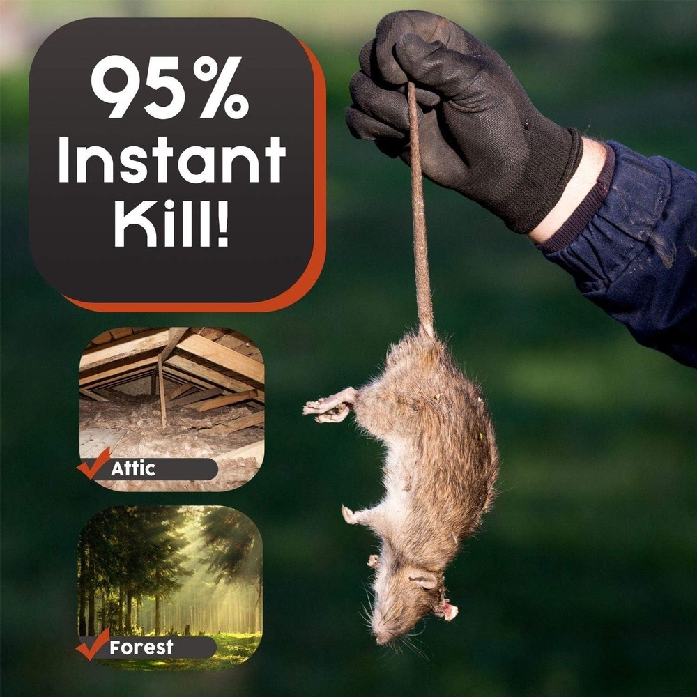 High-Quality Squirrel Trap - Efficient Extermination=