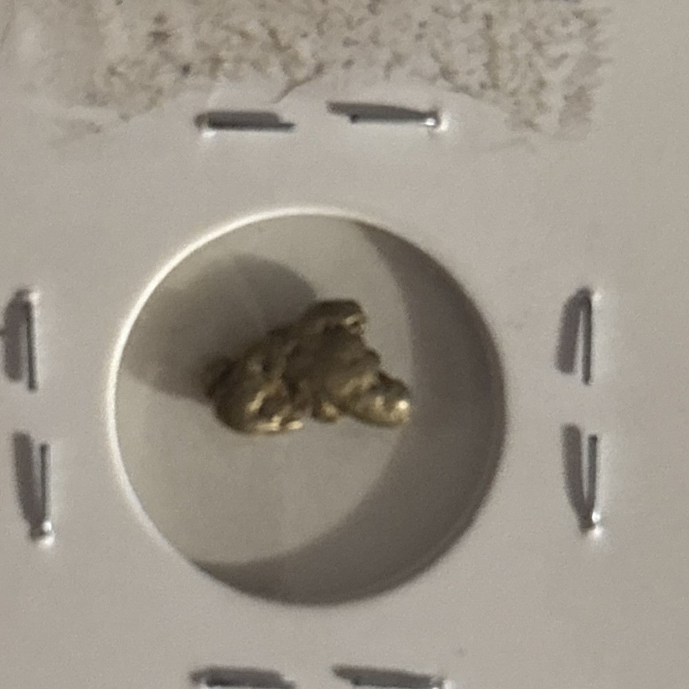 Gold Nugget 1.48 grams