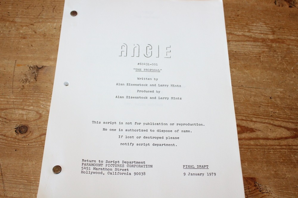ANGIE TV SERIES SHOW SCRIPT THE PROPOSAL
