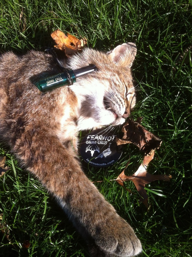 Rabbit Squealer New Predator Call Fox Coyote Bear Bobcat Crow