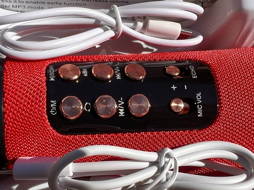 TWS KARAOKE TREASURE WIRELESS MICROPHONE / SPEAKER.