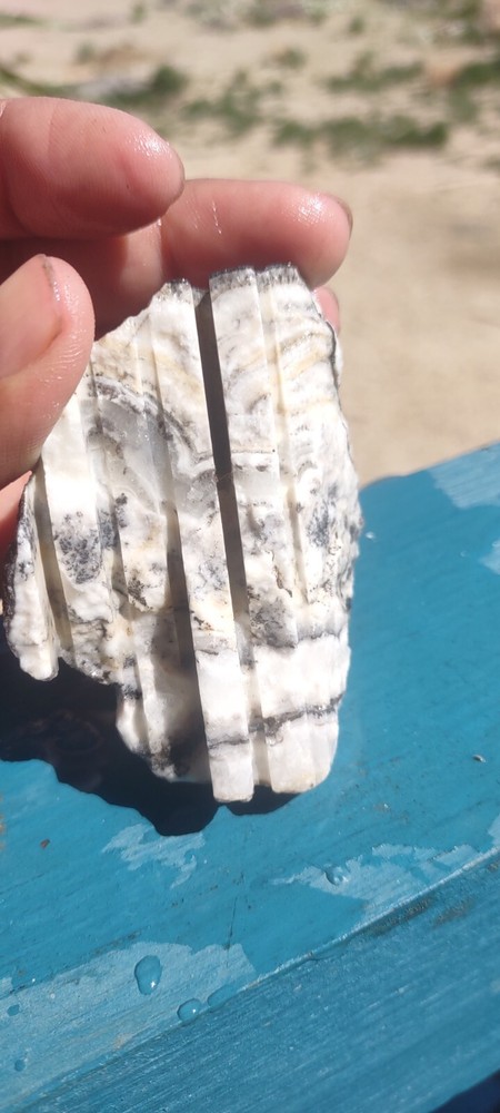 Silver Lace Onyx Pre Form Cuts Ready For Slabbing And Cabbing Lapidary