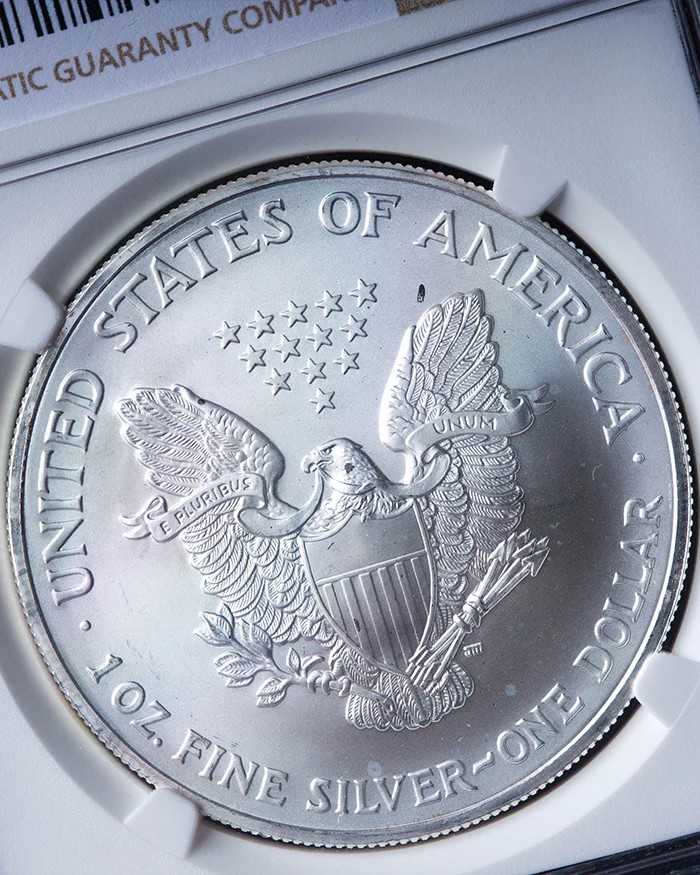 2003 Silver Eagle | Mint Error MS69 Reverse Struck Thru