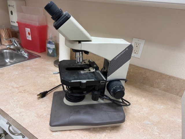 Nikon Labophot-2 Binocular Microscope With 3 Objectives Japan