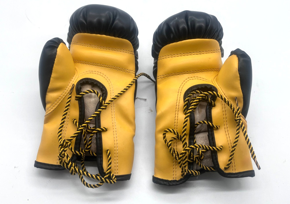 WINDY Boxing Gloves 4 oz Pair