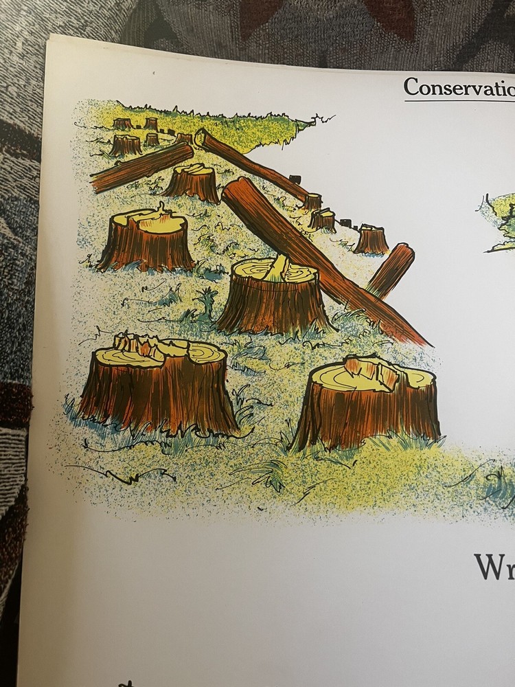 VINTAGE A.J. Nystrom Elementary science chart Universe & Conservation 24” x18.5”