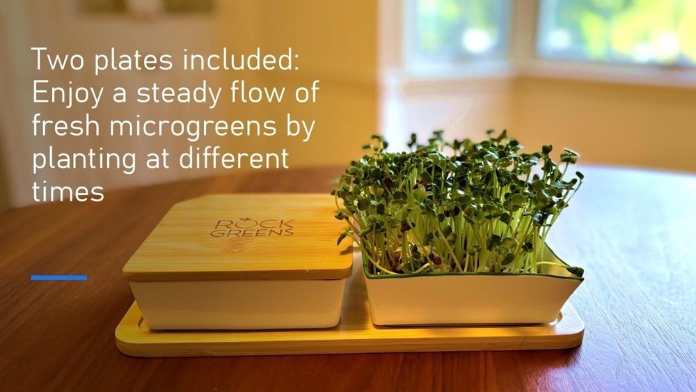 Microgreens Growing Kit. Easy-To-Use, Self-Watering. Includes Two Specially D...