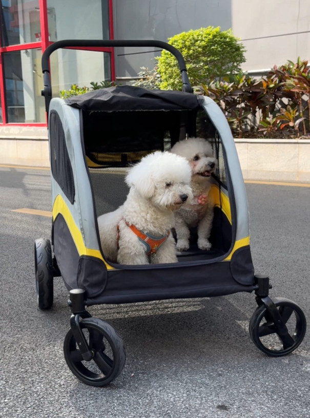 XXL Double Seat Dog Stroller Buggy Anti-shock Pet Doggy Pram Divided for 2 Dogs