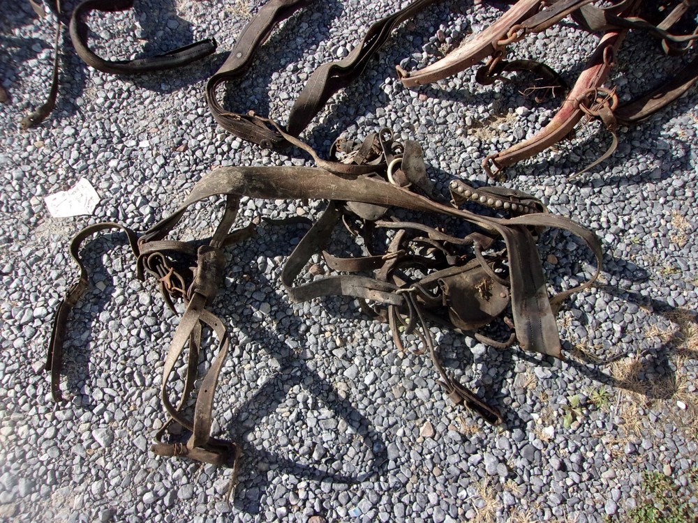 Vintage Harness, Thames, Leads-READ DESCRIPTION - LOCAL PICKUP ONLY