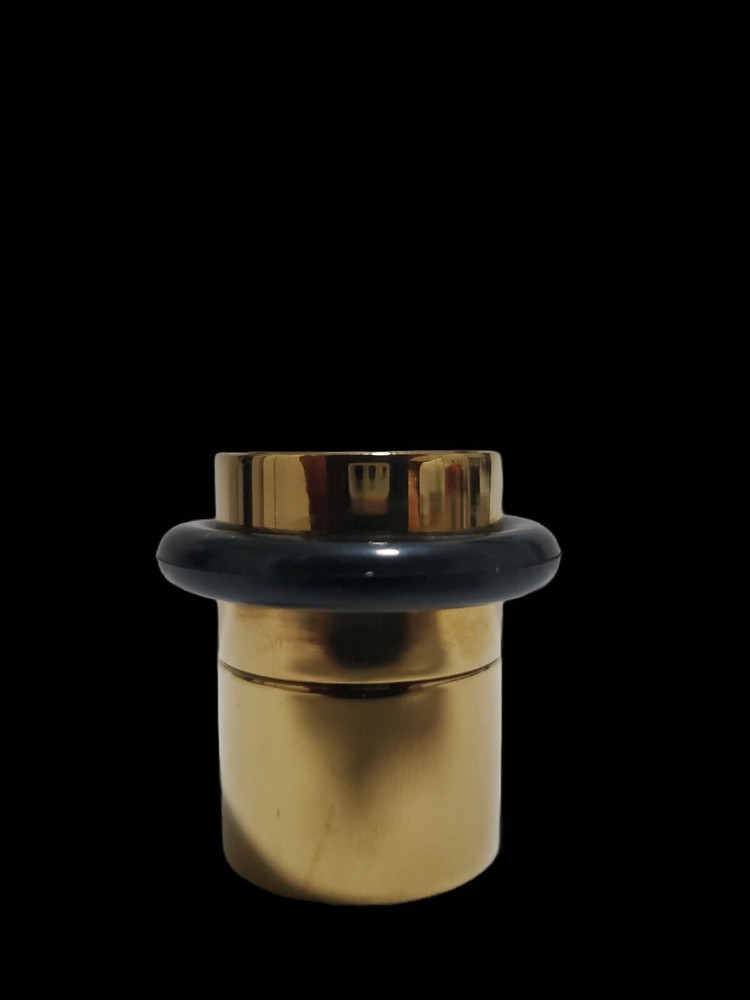 Modern door stopper floor anchored