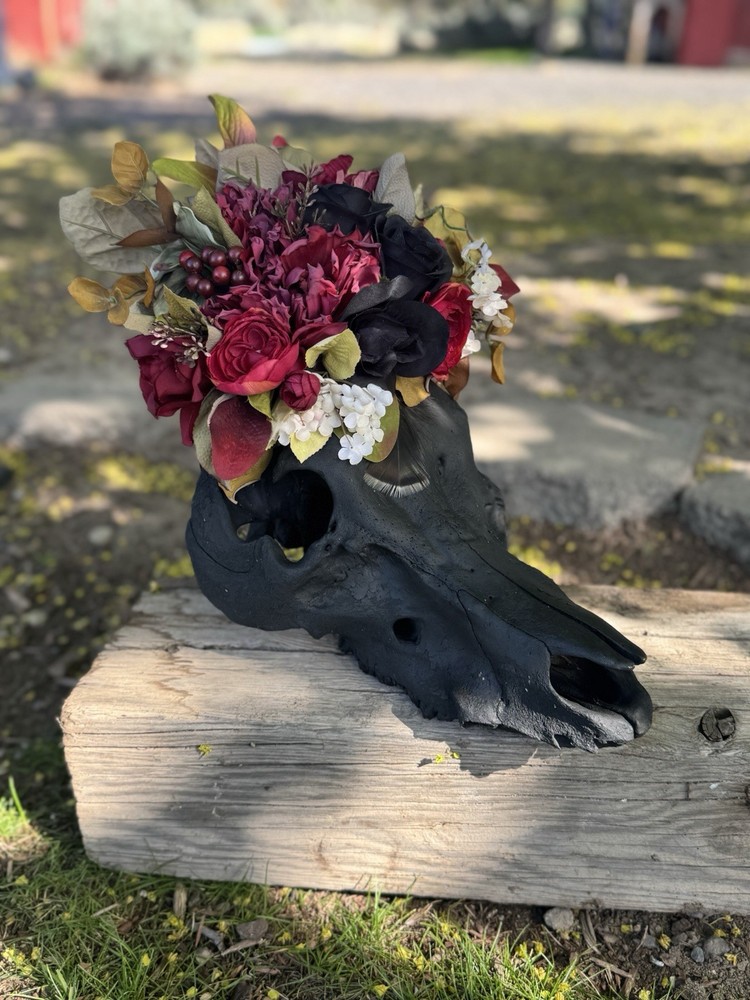 Pig Skull