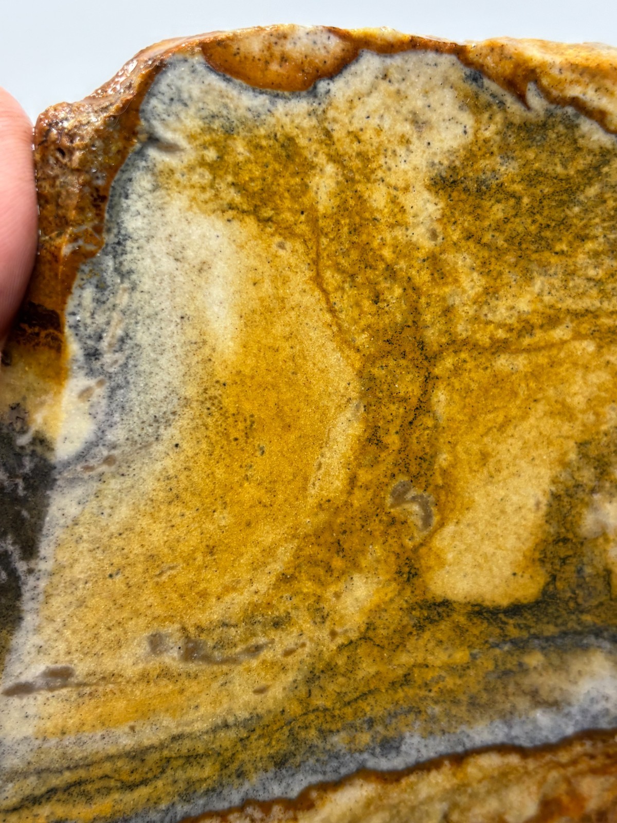 Disaster Peak Picture Jasper Slab Cabbing Lapidary Collecting Combo Ship Avail