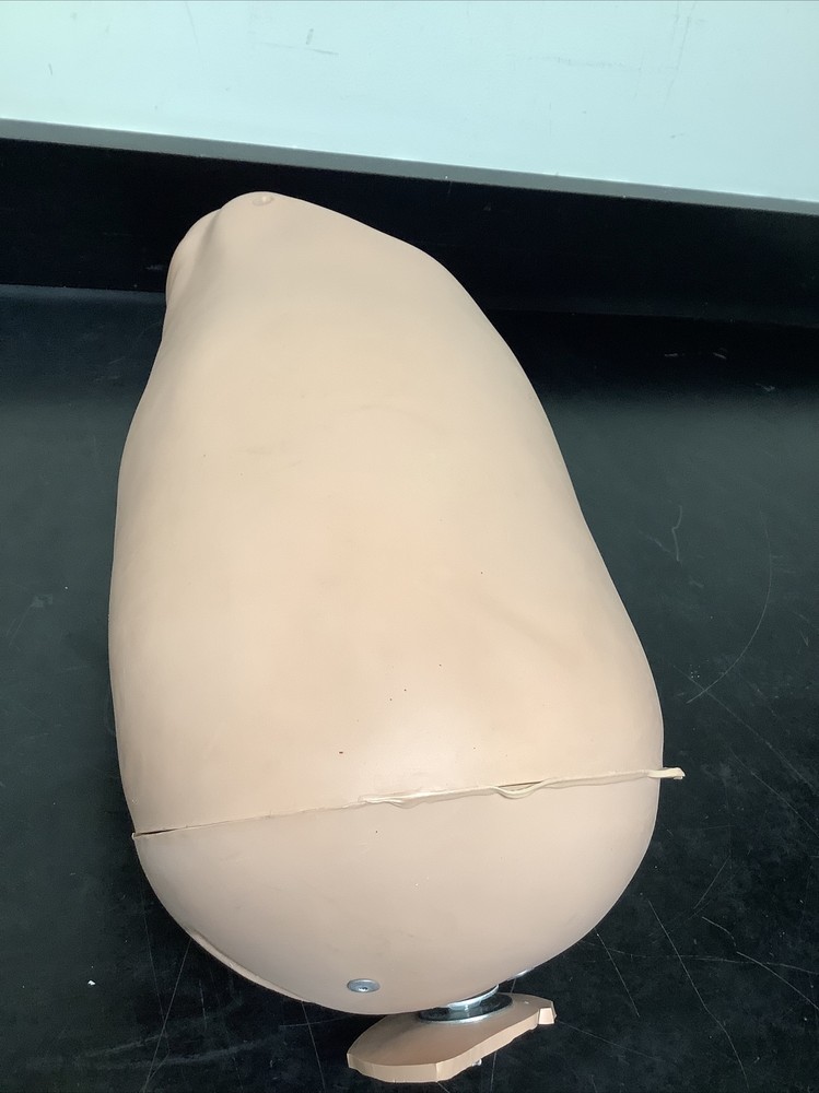 Gaumard Hal Manikin Leg Component