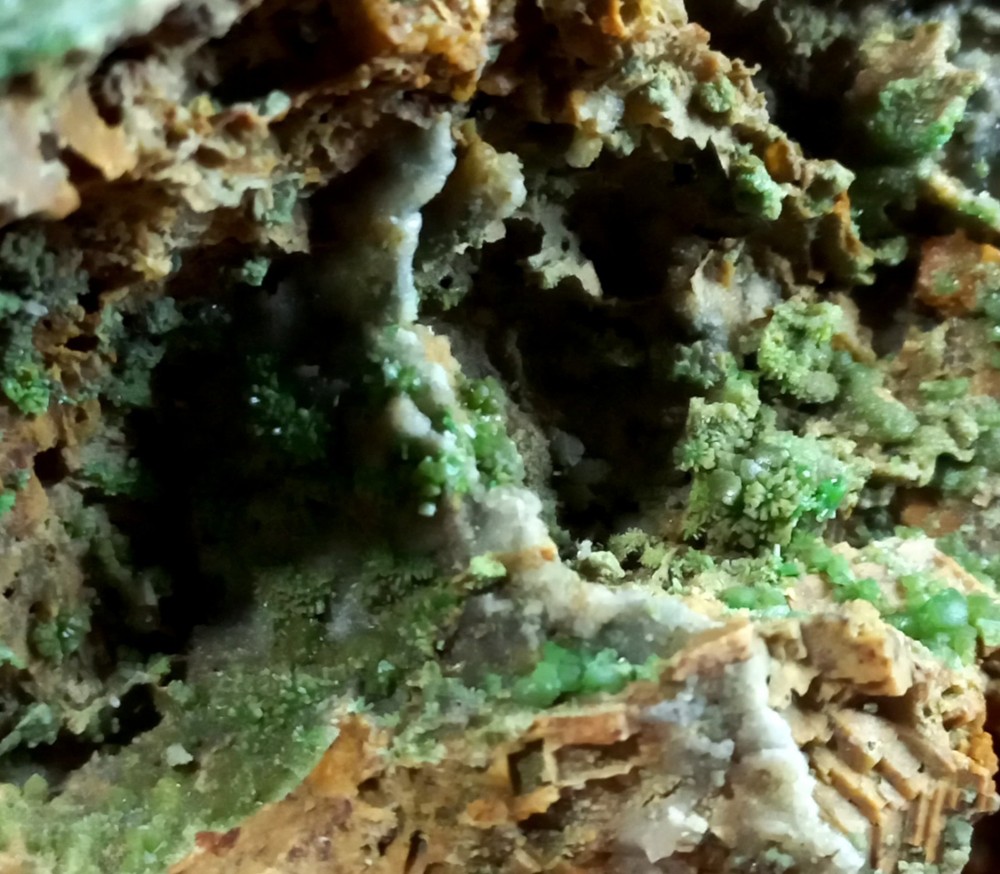 Pyromorphite Sardinia
