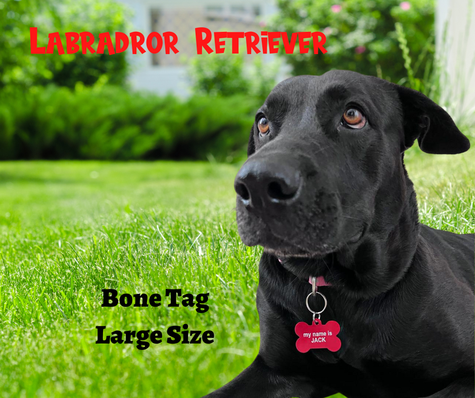 CUSTOM Laser ENGRAVED PERSONALIZED PET TAG ID DOG CAT NAME TAGS DOUBLE SIDE