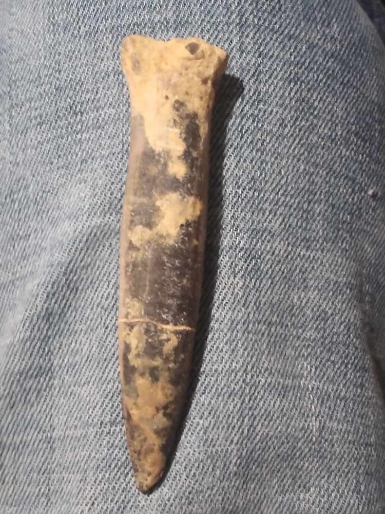 Backalite Spearhead RARE!