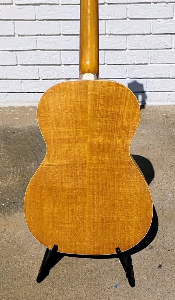 Nardan Acoustic Guitar w/CSC! -LL