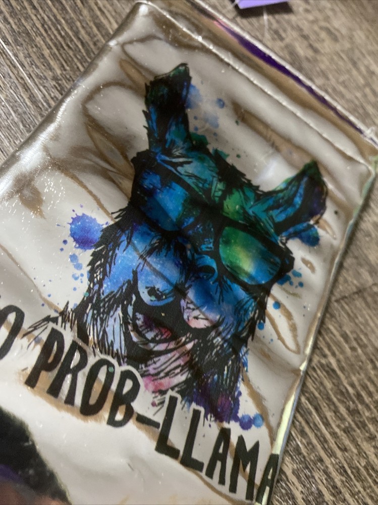 Claire’s rainbow No Problem llama sunglasses Silver holder Case Nwt