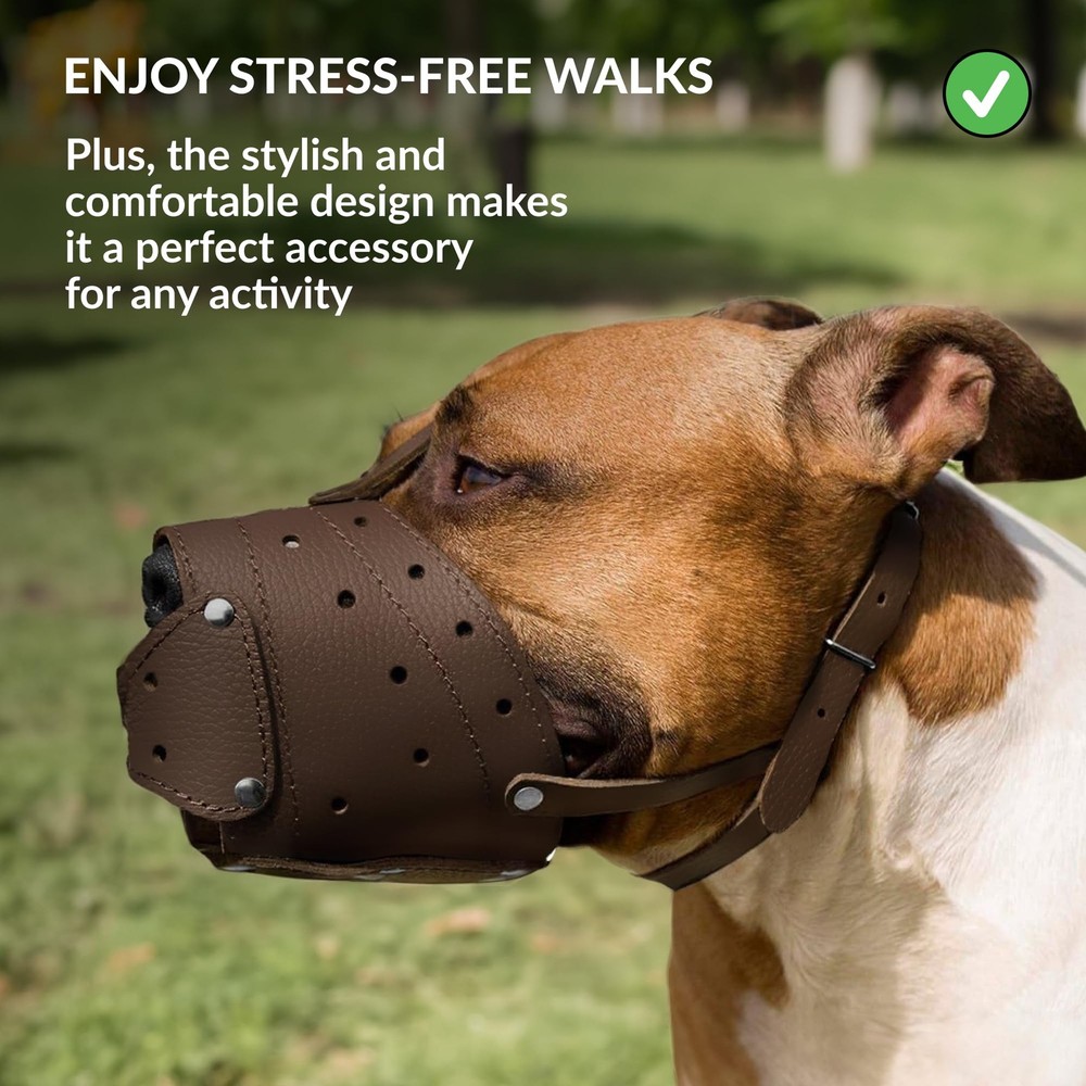 Pitbull Dog Muzzle Leather with Adjustable Straps, Basket Anti Black