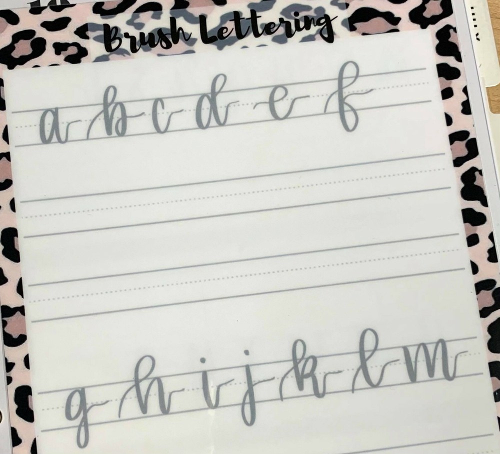 Lettering Handwriting (Wild) Practice Dashboard for use with Happy Planner