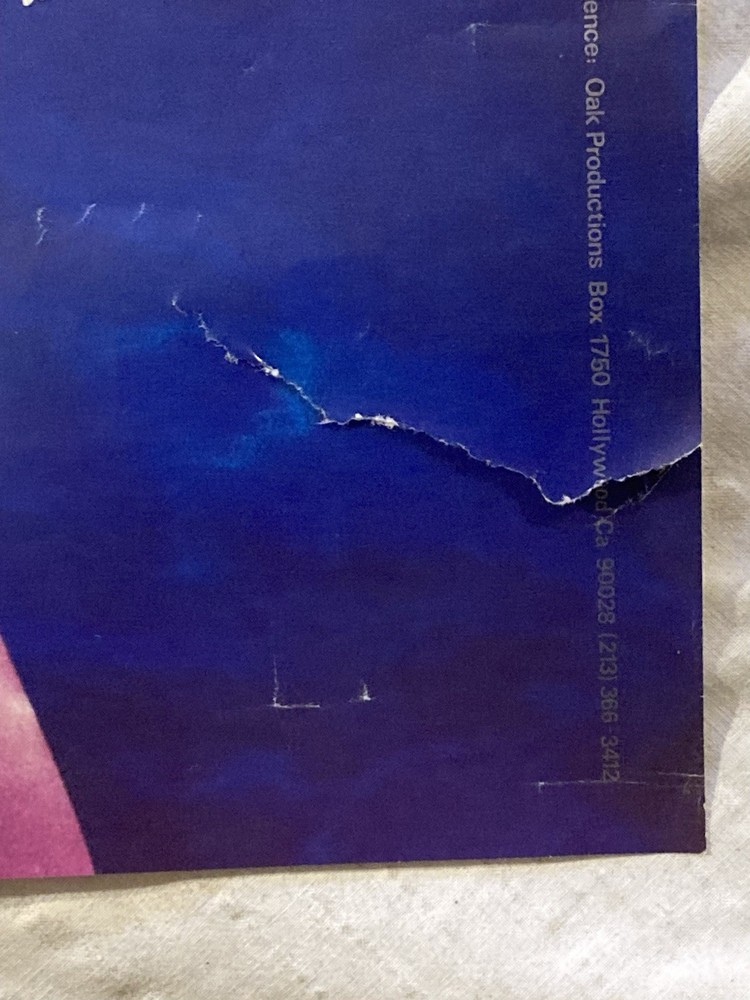 Stephanie Winslow Poster Sexy Swimsuit Girl Pinup Country Music Autographed